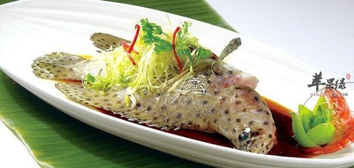 中华名菜-清蒸石斑鱼