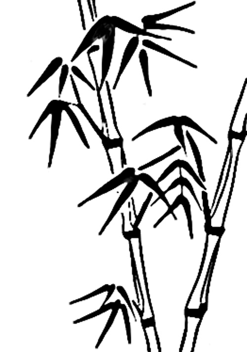 临摹法画竹