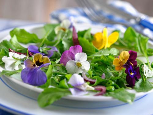 花卉的食用与健康